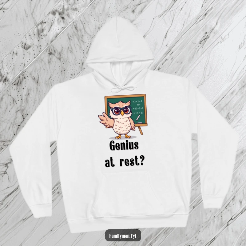 Funny Owl Professor Hoodie, spectacles on, pointing at complex math equations on a blackboard, conveying smart humor.